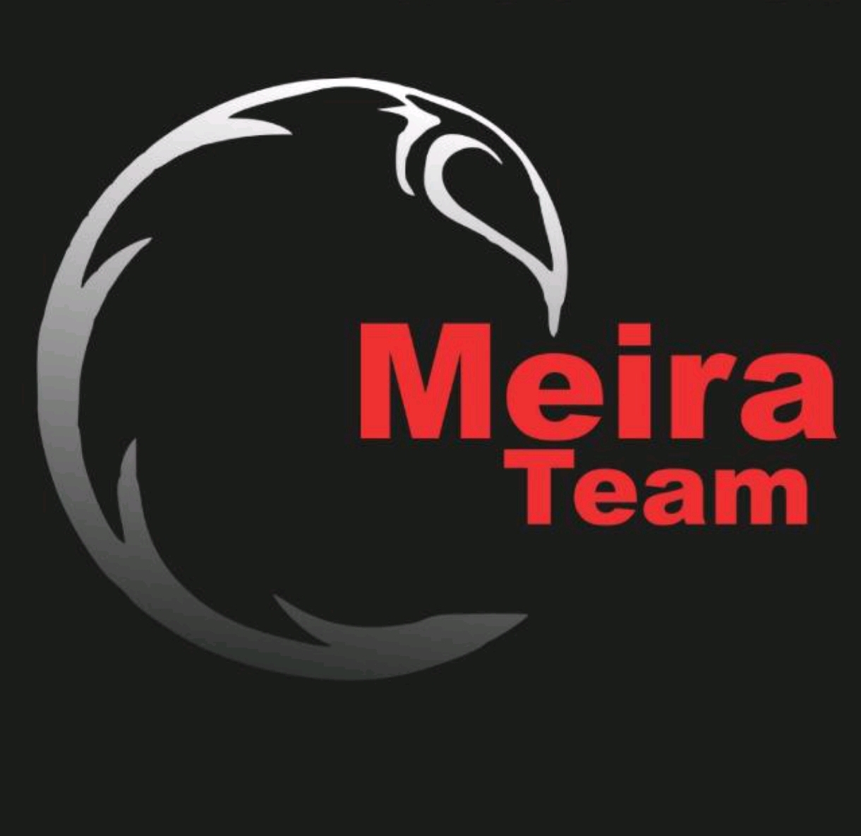 Logo ACADEMIA MEIRA TEAM