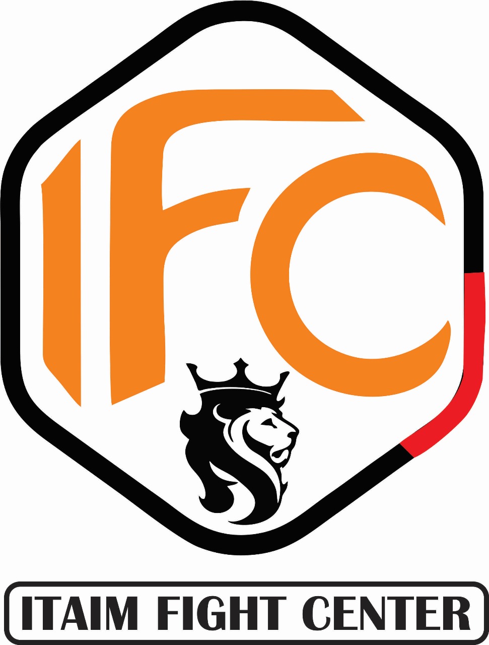 Logo IFC LIFE BROTHER´S BJJ