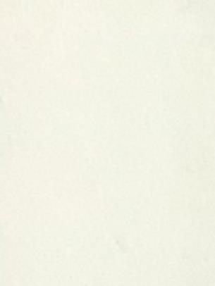 Logo ALEMÃO JIU- JITSU 