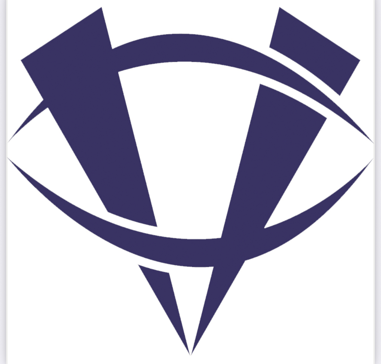 Logo INFINITY JIU JITSU / VISION BJJ 