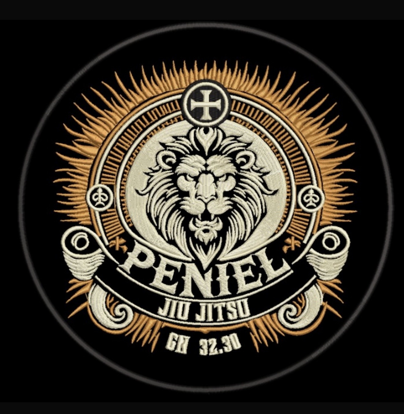Logo PENIEL JIU JITSU