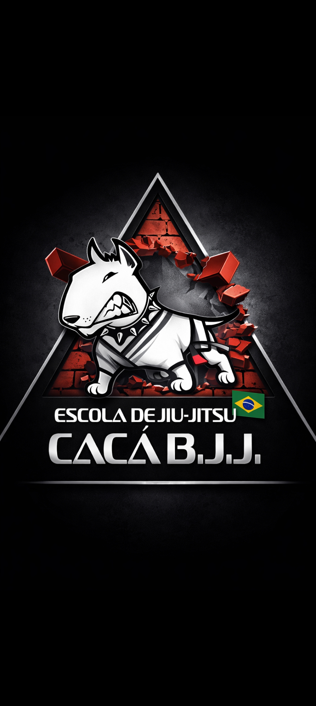 Logo ESCOLA DE JIU-JITSU CACÁ BJJ